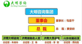 大明咨詢集團正式成立 引領保險咨詢服務新篇章